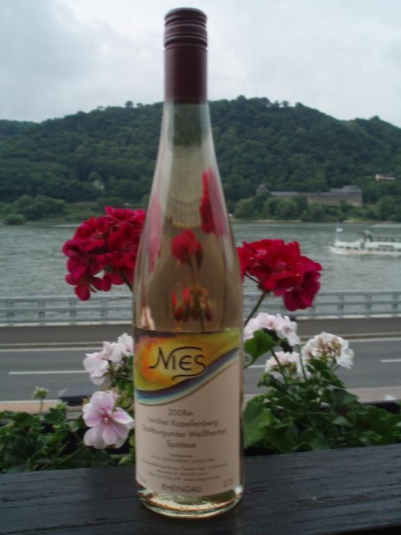 Weingut Theodor Nies Apartment Lorch am Rhein Exterior photo