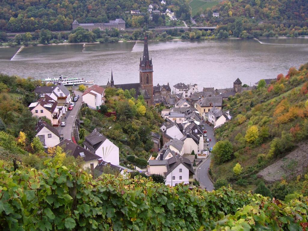 Weingut Theodor Nies Apartment Lorch am Rhein Exterior photo